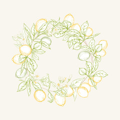 Lemon tree branch with lemons, flowers and leaves. Element for design. Colored outline hand drawing vector illustration.