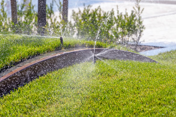 Fototapeta na wymiar Sprinkler system, watering park lawn