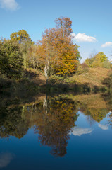 Fototapeta na wymiar Autumn reflected