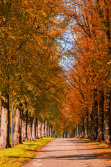 Eine Straße im Herbst