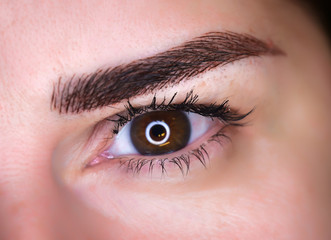 Obraz premium Microblading eyebrows, getting facial care and tattoo at beauty salon