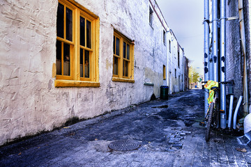 Yellow Windows