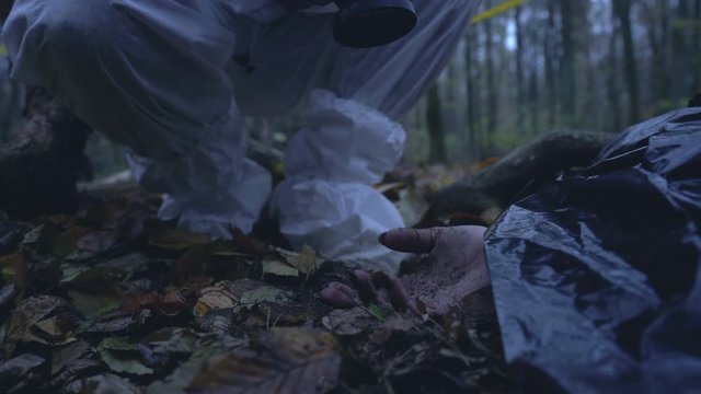 Criminalist taking photo of dead female hand hidden in forest, investigation