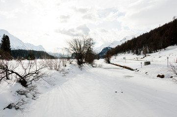 Fototapeta na wymiar Sils, Inn, Fluss, Silsersee, Seenplatte, Oberengadin, Alpen, Winter, Wintersport, Graubünden, Schweiz