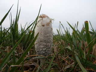 KODAK Digital Still Camera © Dawid