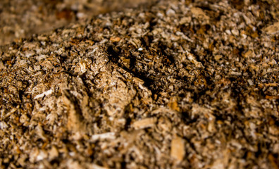 After the fire, only ash remained.