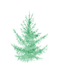 Fir. Watercolor monochrome drawing. Christmas tree 