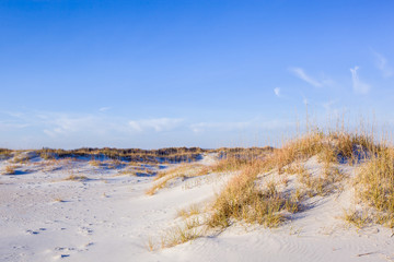 Wrightsville Dunes
