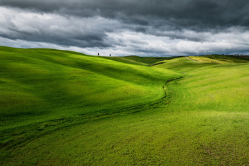 Fototapeta premium Zielone łąki w Toskanii, Włochy