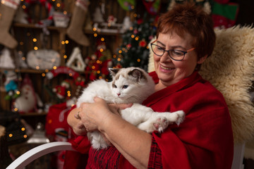 Grandmother is sitting on a rocking chair with a cat against the backdrop of Christmas arrangement