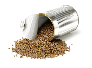 Cassia tora , Sicklepod on white background