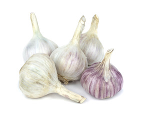  garlic isolated on white background