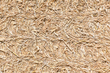 Partial view of a straw block.
