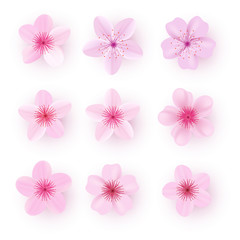 Fototapeta na wymiar Realistic pink sakura petals icon set. Cherry petals