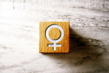 Gender Sign For Female On An Orange Wooden Block On A Table