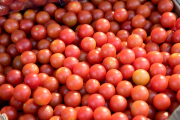 Different types of tomatoes at the weekly street market stall