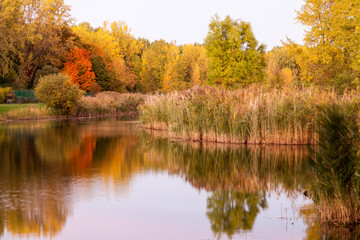 Lake in the park autumn colored