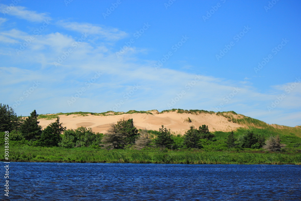 Wall mural dunes