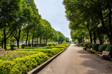 Green park with paths, trees and fountains