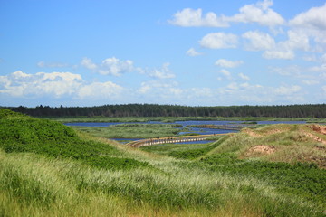green field and blue sky