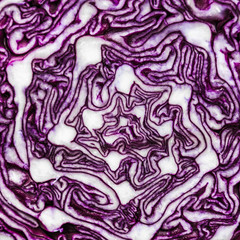 Obraz premium Red cabbage background. Abstract pattern of cross section. Top view