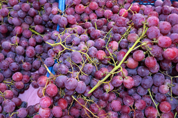 Purple grapes harvest top view