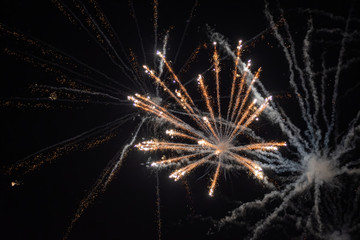 Firework Display Lighting up the Dark Sky