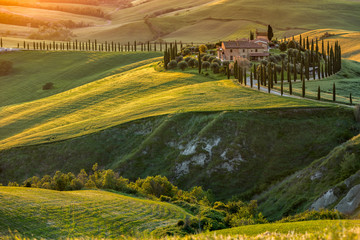 Farma w Toskanii, Włochy, zielone wzgórza podczas zachodu słońca - obrazy, fototapety, plakaty