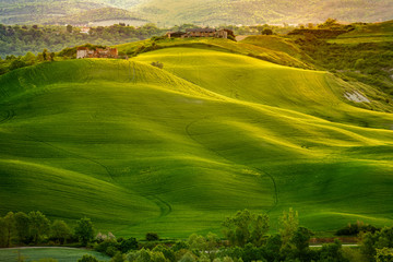 Fototapeta premium Farma w Toskanii, Włochy, zielone wzgórza podczas zachodu słońca