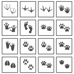 Obraz na płótnie Canvas animals footprint icon vector design symbol