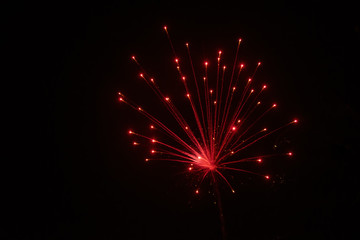 Firework Display Lighting up the Dark Sky