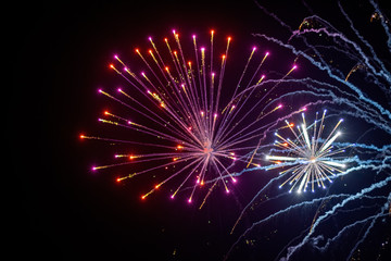 Firework Display Lighting up the Dark Sky