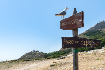 Cies Island landscapes, Vigo, Spain