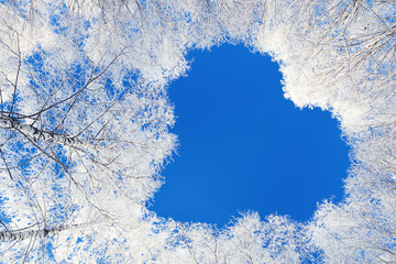 beautiful winter landscape with forest and blue sky