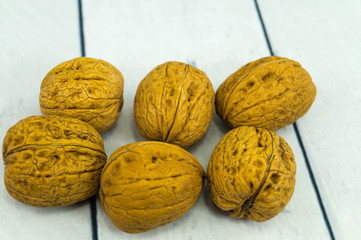 Walnuss  - Juglans regia
