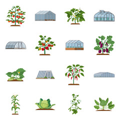 Vector illustration of greenhouse and plant icon. Set of greenhouse and garden stock symbol for web.