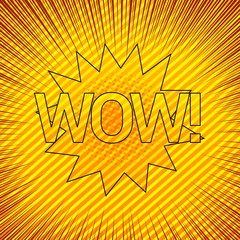 Abstract burst elegant template