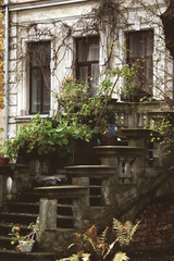 Fototapeta na wymiar house in garden with stairs and flowers