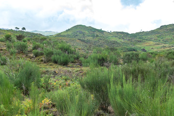 Landscapes from Lindoso, Portugal