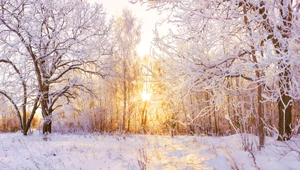 Foto op Plexiglas besneeuwd winterlandschap panorama © yanikap