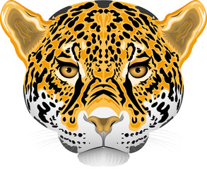 Leopardo