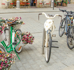 bicycles with flowers and bones