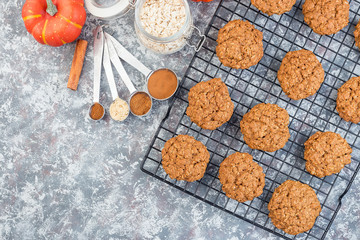 Spicy pumpkin and oatmeal cookies on cooling rack, horizontal, top view, copy space
