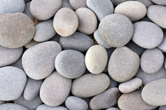 Small stones in various shades of gray.