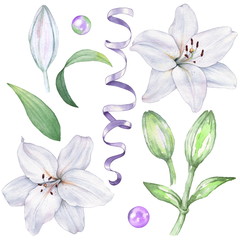 Set of isolated lilies to create a design. Watercolor illustration. Hand drawing - 301844386