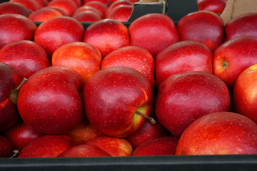 red apples at the wholesale farmer's market  © Andrii