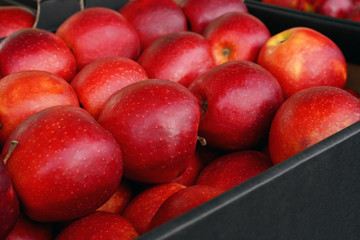 red apples at the market