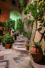 Fototapeta premium Klimatyczna skalna ścieżka w Cinque Terre, Włochy
