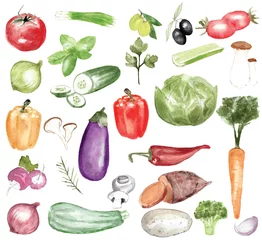 Photo sur Aluminium brossé Des légumes ensemble d& 39 illustrations à l& 39 aquarelle de légumes et d& 39 herbes