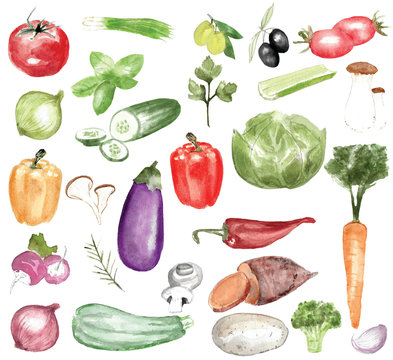 watercolor illustration set of vegetables and herbs